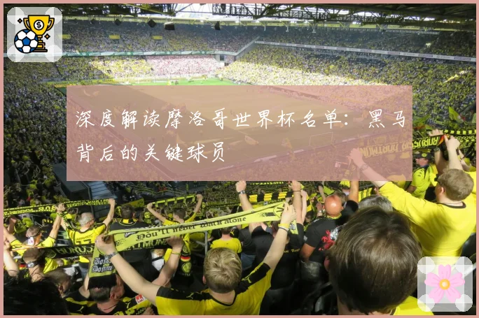 深度解读摩洛哥世界杯名单:黑马背后的关键球员