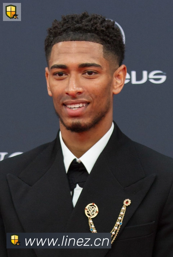 维尼修斯